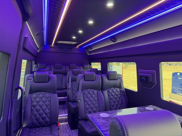 Executive Sprinter seating – Berthoud limo service