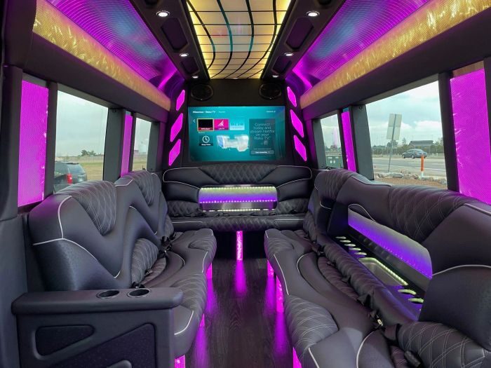 Sprinter limo lounge with TV – Berthoud limo service