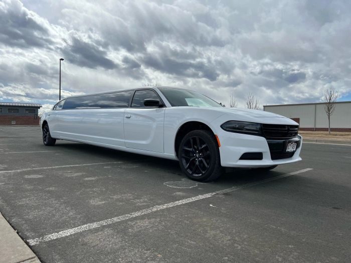 White stretch limo – Berthoud limo service